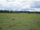 Lot 8 Old Tenterfield Rd, Rappville NSW 2469