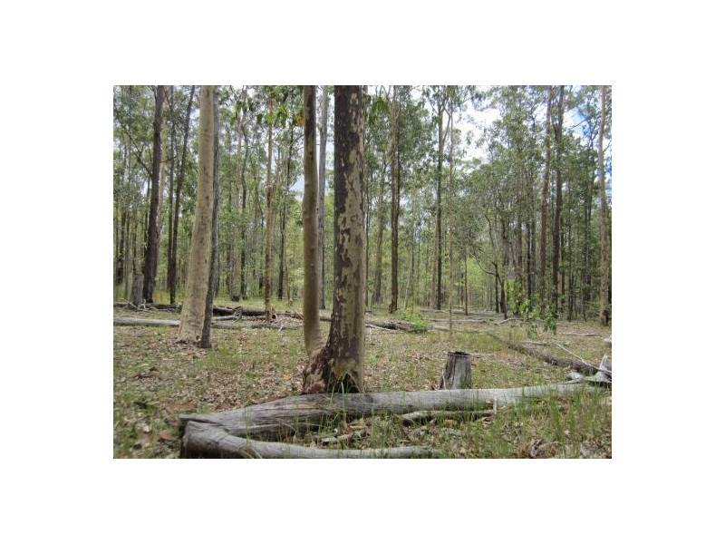 Lot 15 Old Tenterfield Rd, Rappville NSW 2469