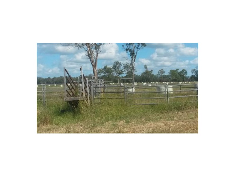 Lot 1 Perkins Bridge Road, Tatham NSW 2471