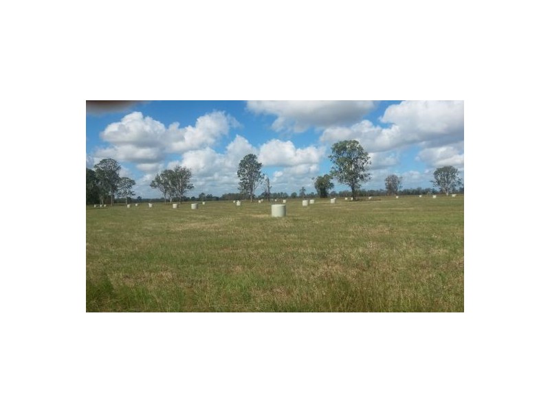 Lot 1 Perkins Bridge Road, Tatham NSW 2471