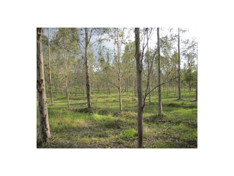 LOT 13 Tabulam Rd, Tabulam NSW 2469