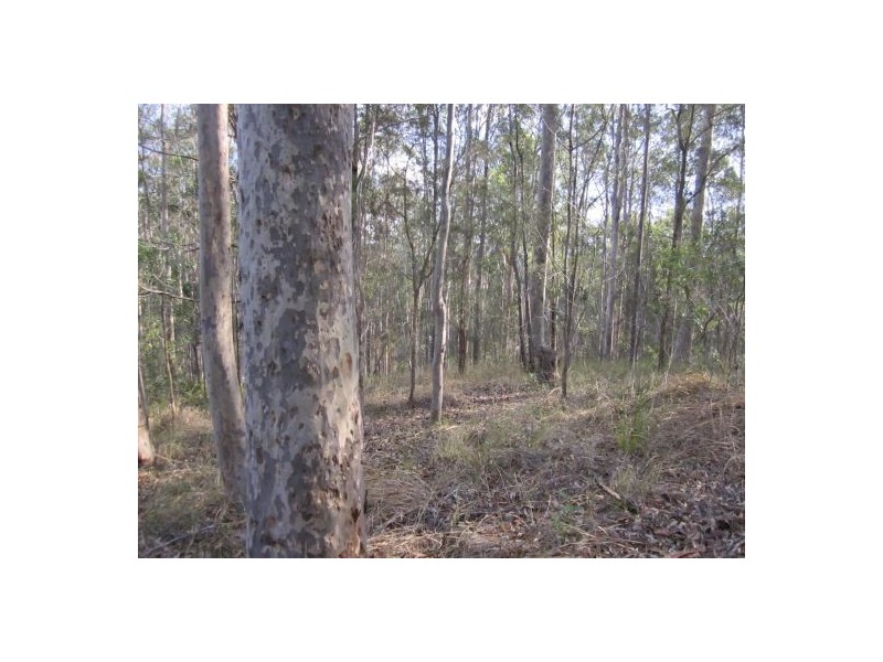 LOT 13 Tabulam Rd, Tabulam NSW 2469