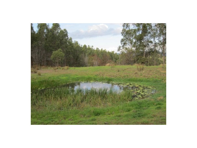 LOT 13 Tabulam Rd, Tabulam NSW 2469