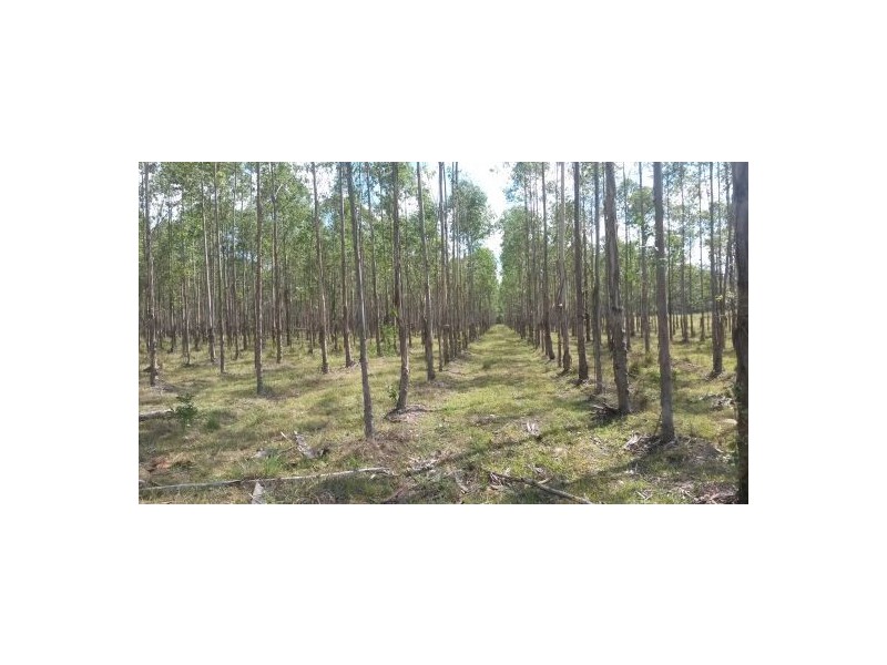 330 Ellangowan-myrtle Creek Road, Casino NSW 2470