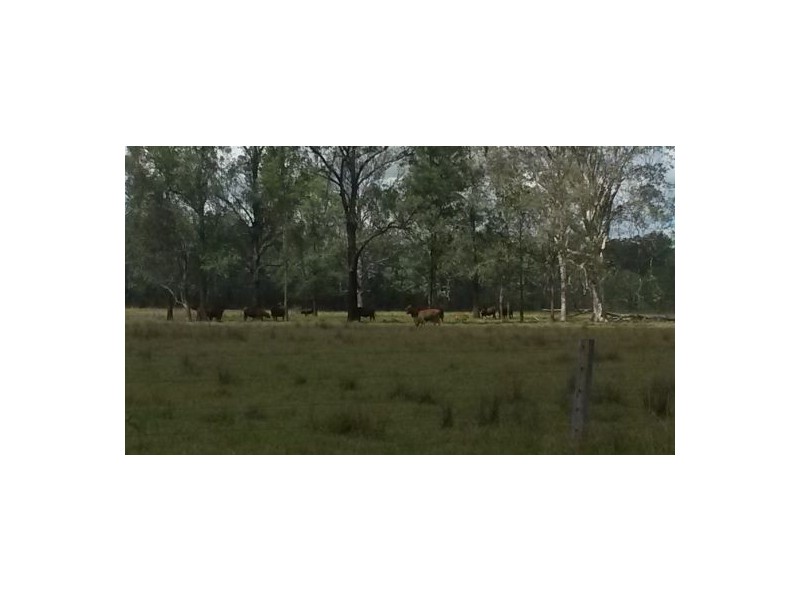 330 Ellangowan-myrtle Creek Road, Casino NSW 2470