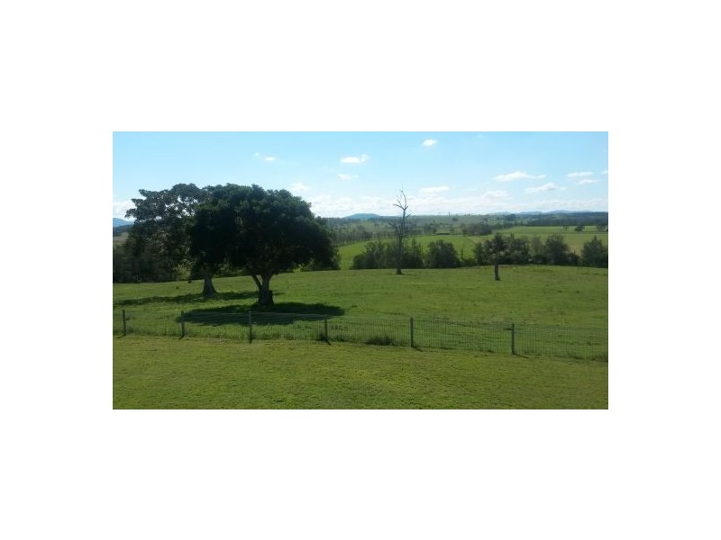 1521 Dyraaba Road, Dyraaba NSW 2470