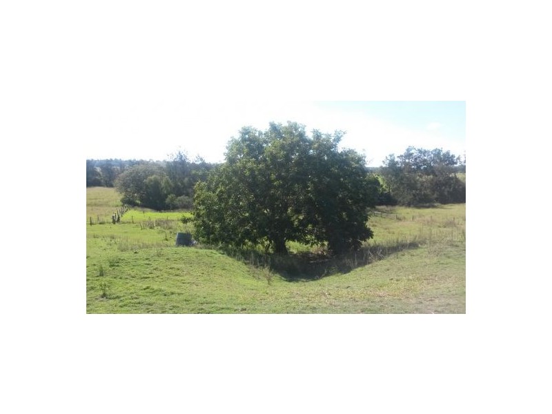 1521 Dyraaba Road, Dyraaba NSW 2470