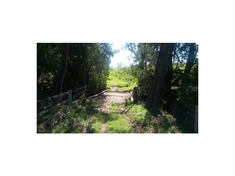 1521 Dyraaba Road, Dyraaba NSW 2470