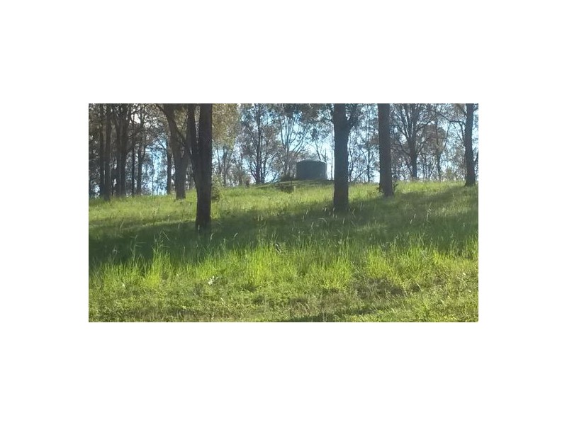 1521 Dyraaba Road, Dyraaba NSW 2470