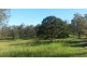 1521 Dyraaba Road, Dyraaba NSW 2470