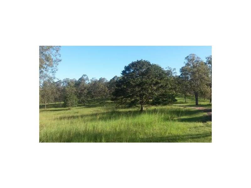 1521 Dyraaba Road, Dyraaba NSW 2470