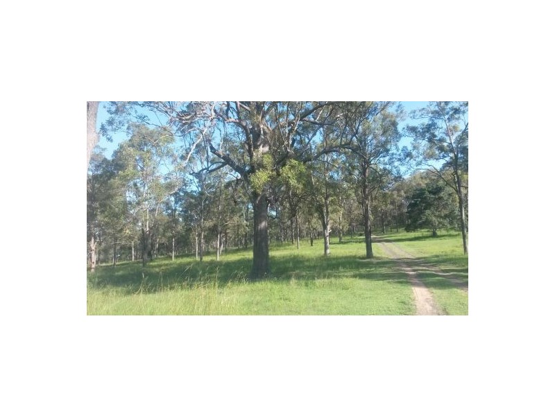 1521 Dyraaba Road, Dyraaba NSW 2470