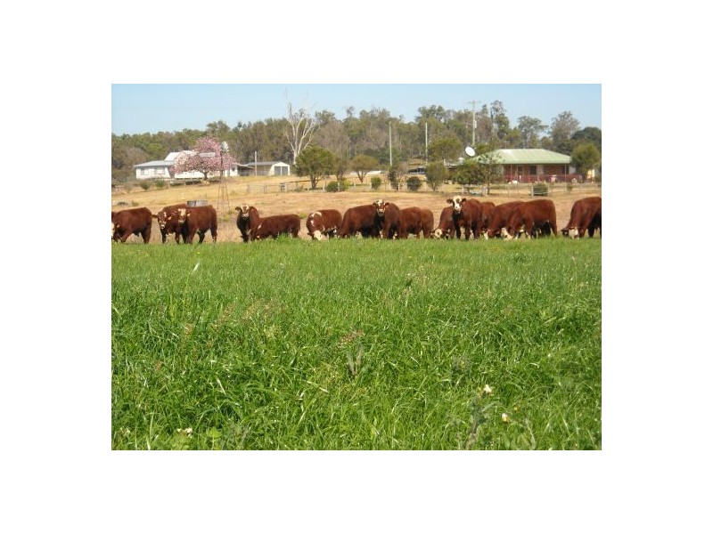 1605 Sextonville Road, Dobies Bight NSW 2470