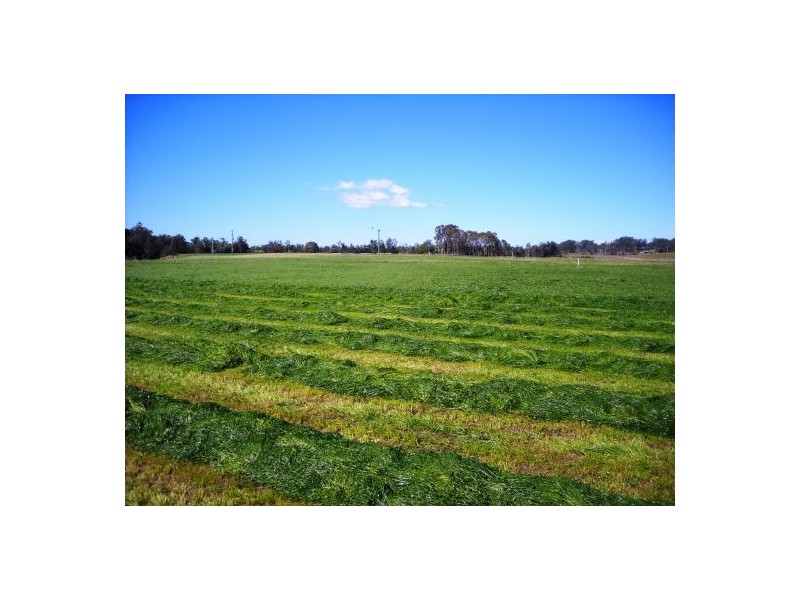 1605 Sextonville Road, Dobies Bight NSW 2470