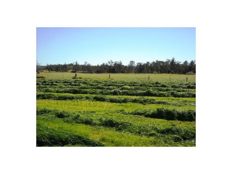 1605 Sextonville Road, Dobies Bight NSW 2470