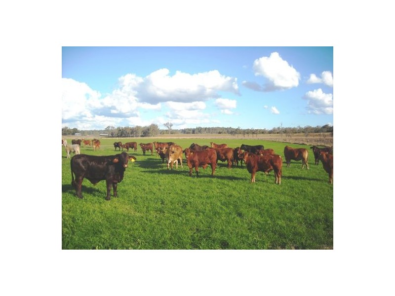 1605 Sextonville Road, Dobies Bight NSW 2470