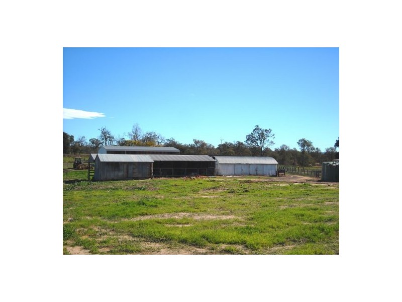 1605 Sextonville Road, Dobies Bight NSW 2470