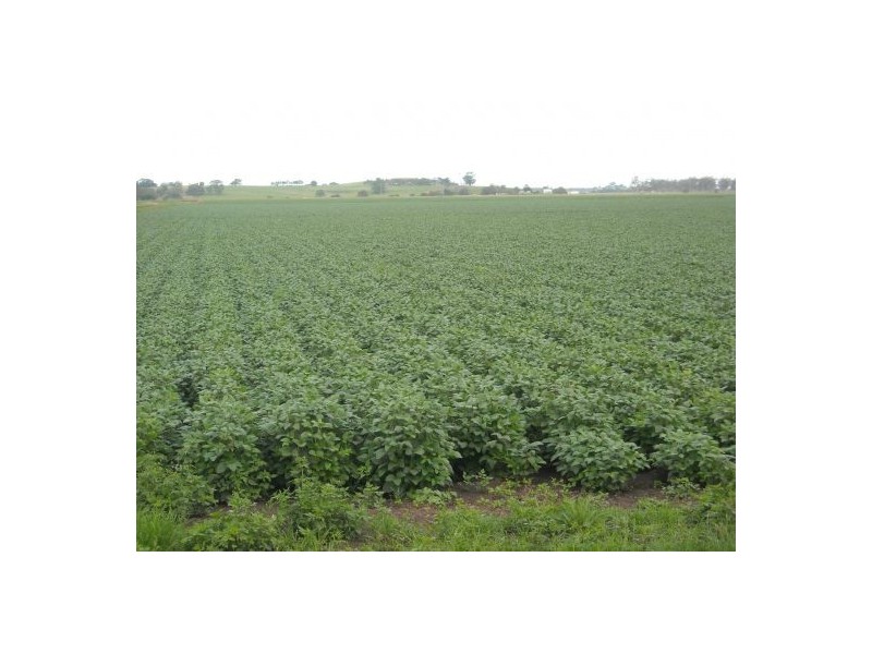 270a Tomki-tatham Road, Casino NSW 2470