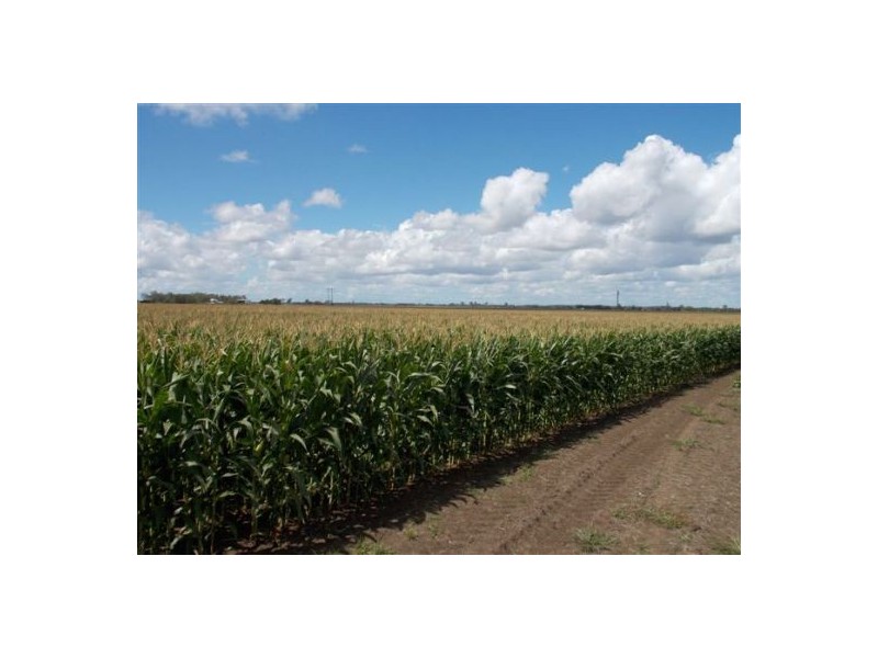 270a Tomki-tatham Road, Casino NSW 2470