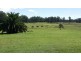160 Busbys Flat Rd, Casino NSW 2470