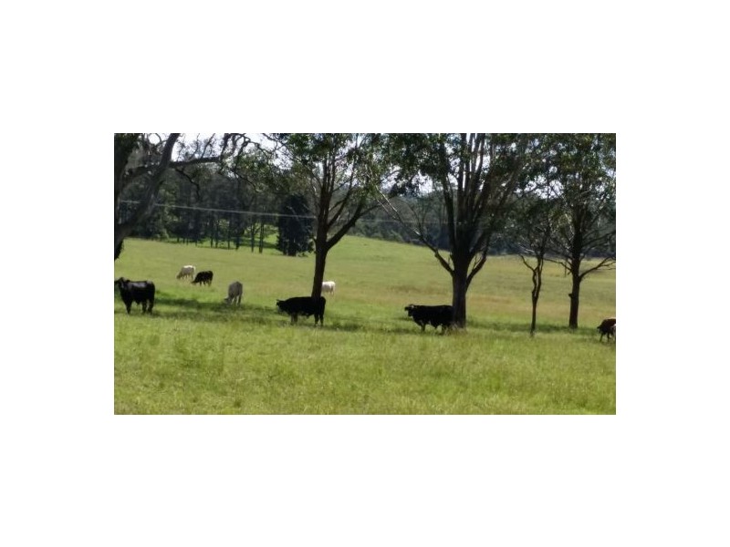 160 Busbys Flat Rd, Casino NSW 2470