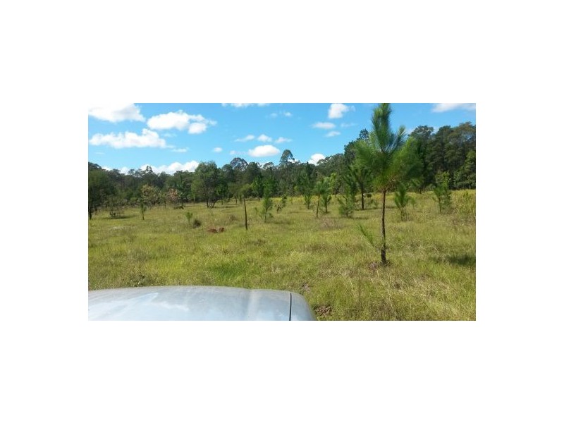 3560 Bungawalbin-whiporie Road, Whiporie NSW 2469