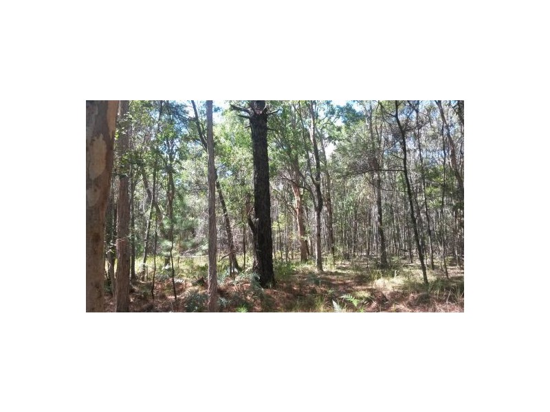 3560 Bungawalbin-whiporie Road, Whiporie NSW 2469