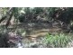 3560a Bungawalbin-whiporie Road, Whiporie NSW 2469