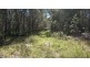3560a Bungawalbin-whiporie Road, Whiporie NSW 2469