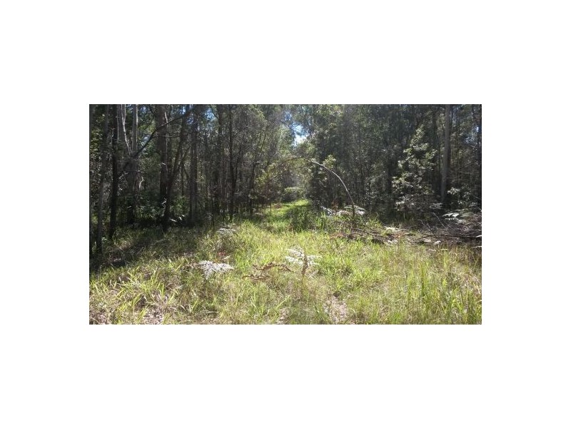 3560a Bungawalbin-whiporie Road, Whiporie NSW 2469