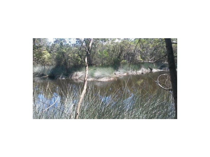 3560a Bungawalbin-whiporie Road, Whiporie NSW 2469