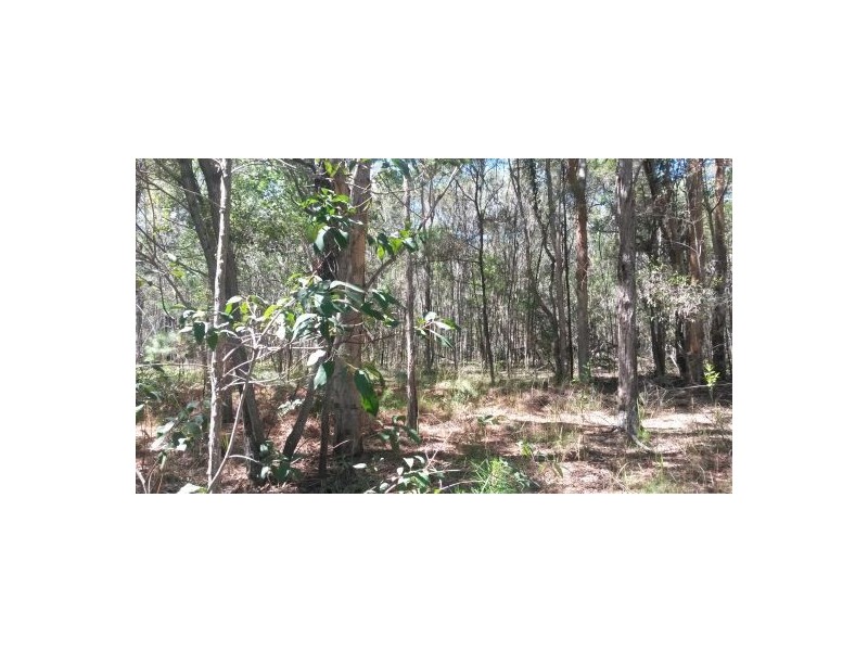 3560a Bungawalbin-whiporie Road, Whiporie NSW 2469
