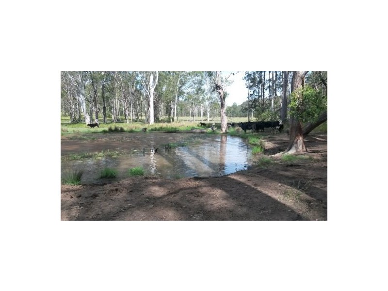 981 Old Dyraaba Road, Casino NSW 2470