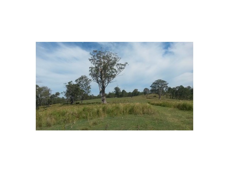 981 Old Dyraaba Road, Casino NSW 2470