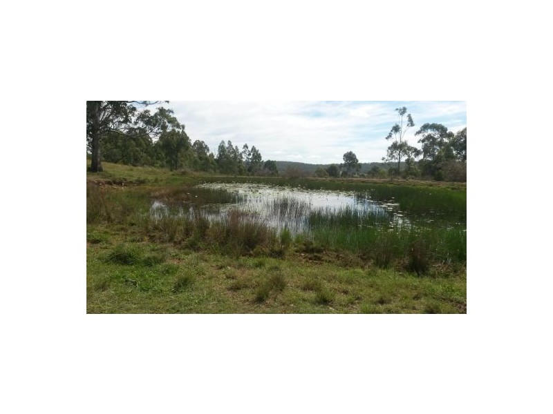 981 Old Dyraaba Road, Casino NSW 2470