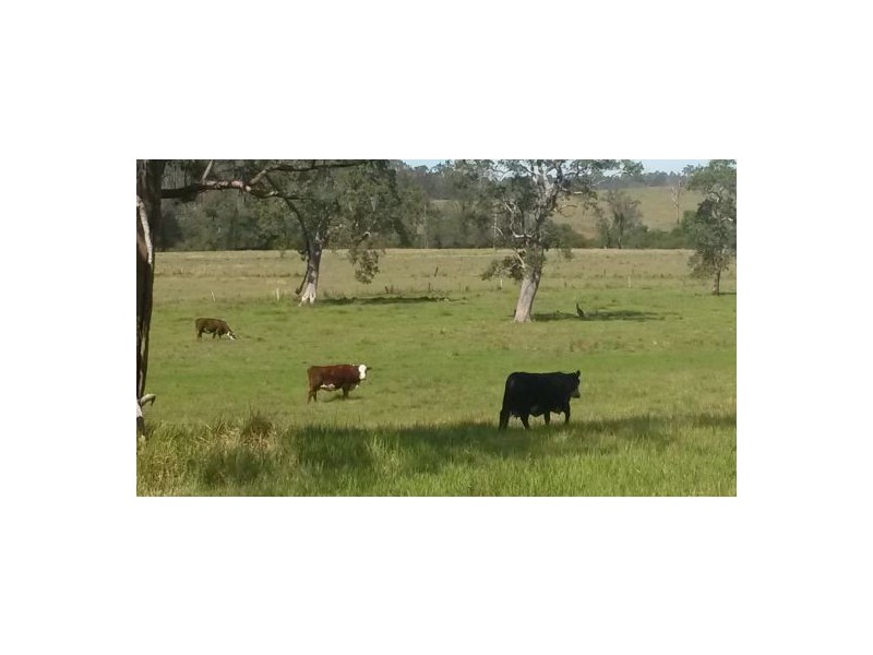 981a Old Dyraaba Road, Casino NSW 2470