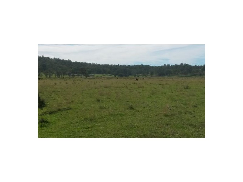 981a Old Dyraaba Road, Casino NSW 2470