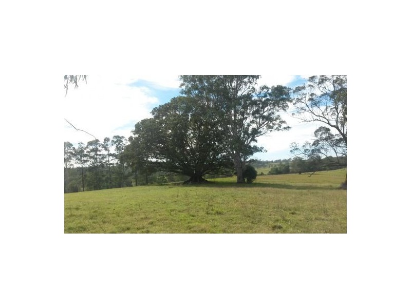 981b Old Dyraaba Road, Casino NSW 2470