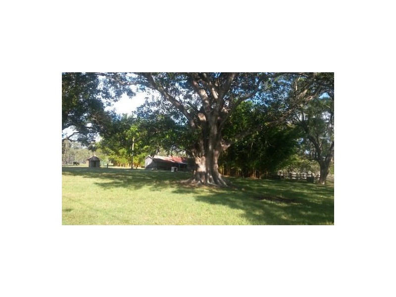 981b Old Dyraaba Road, Casino NSW 2470