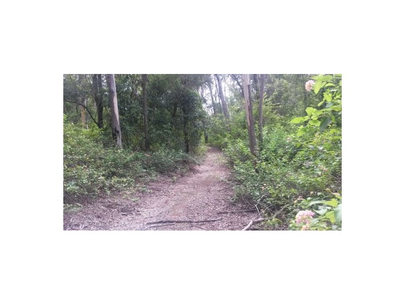 Lot 12 Leslie Creek Road, Drake NSW 2469