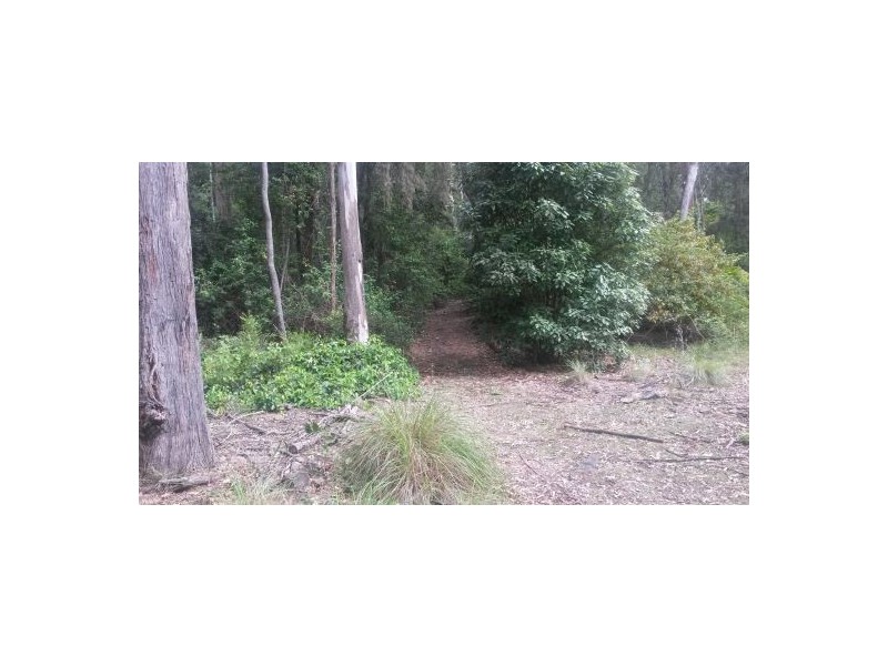 Lot 12 Leslie Creek Road, Drake NSW 2469