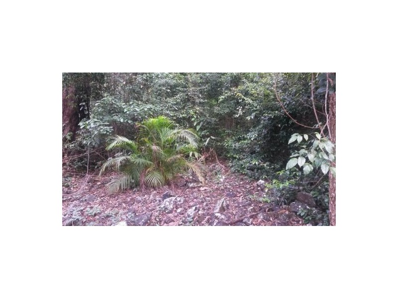 Lot 12 Leslie Creek Road, Drake NSW 2469