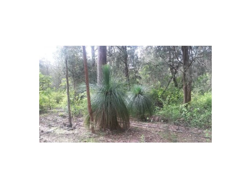 Lot 12 Leslie Creek Road, Drake NSW 2469