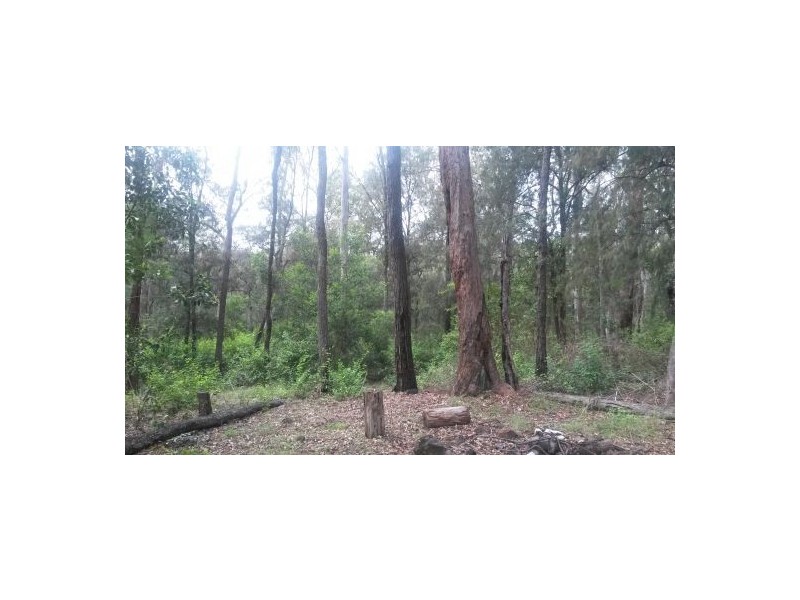 Lot 12 Leslie Creek Road, Drake NSW 2469