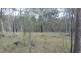 Lot 12 Leslie Creek Road, Drake NSW 2469