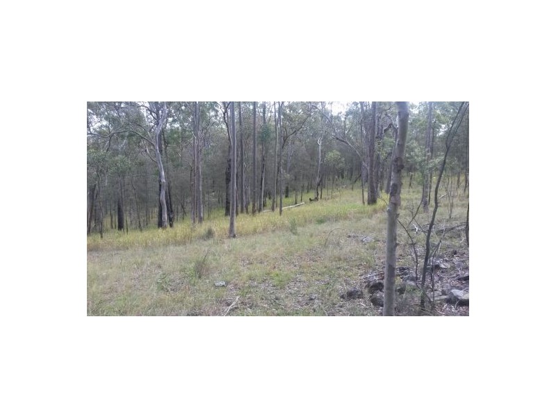 Lot 12 Leslie Creek Road, Drake NSW 2469