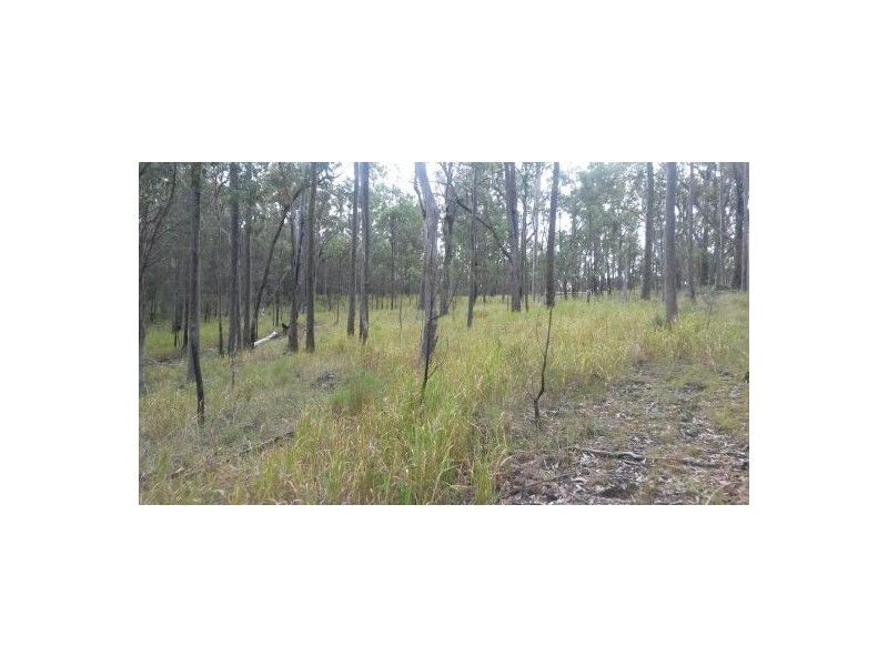 Lot 12 Leslie Creek Road, Drake NSW 2469