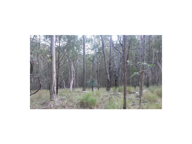 Lot 12 Leslie Creek Road, Drake NSW 2469