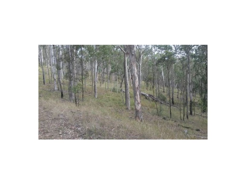 Lot 12 Leslie Creek Road, Drake NSW 2469