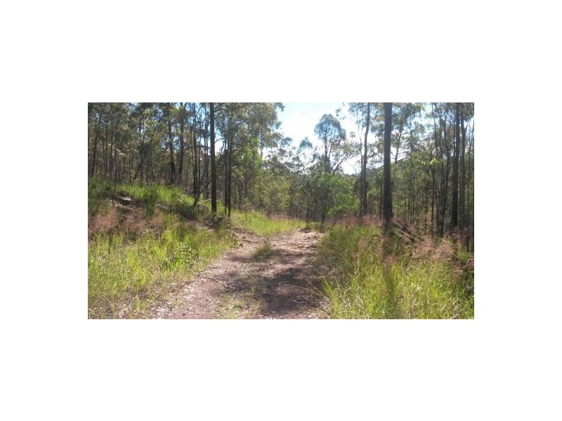 Lot 143 Sugarbag Rd, Tabulam NSW 2469